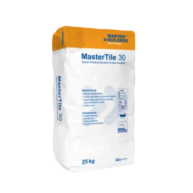Tile Adhesive MasterTile 30 mastertile 30